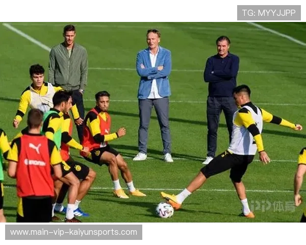 多特轻装上阵，海登海姆难逃败绩？，多特海伦使用方法